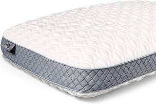 sealy-memory-foam-bed-pillow-1