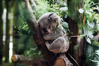 How to Sleep Well and Wake Up Full of Energy
