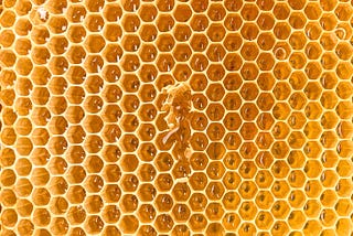 Ce vitamine contine mierea de albine?