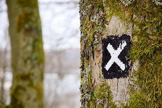 Solving the Target Sum problem with dynamic programming and more