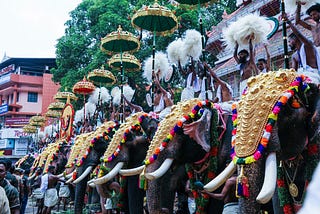 Caparisoned elephants ready for the temple festival