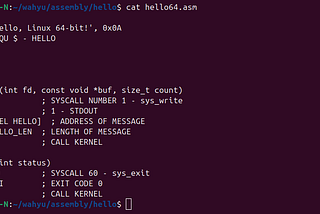 Understanding Linux x86–64 Assembly: A Hello World Example