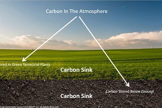 Indian farmers can earn carbon credits
