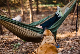 A person lays in a hammock in the forest with their golden retriever