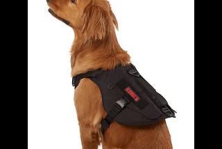 kong-tactical-vest-dog-harness-in-black-size-medium-neoprene-petsmart-1