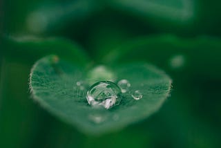 A picture of a heart-shaped green leaf with a drop of dew on it, symbolizing being touched by a healing power.