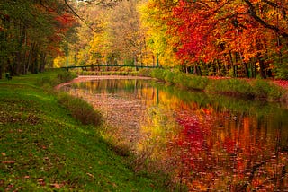 At 81 Years Old, Being Grateful for Thanksgiving Next Year