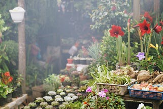 The flower shop I love, now the flower shop I am scared to be in