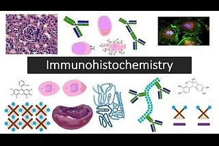 Immunohistochemistry Market Size, Share, Challenges and Growth Analysis Report 2034
