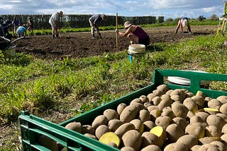 18 months into a cropping cooperative: A recipe for community resilience