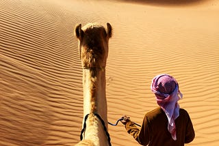 A camel walking through the desert