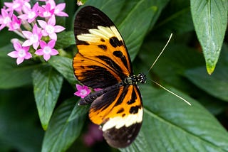 Embracing Change: May Writing Prompts for Modern Sobriety