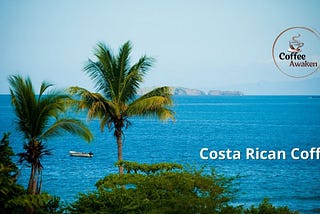 Costa Rican Coffee