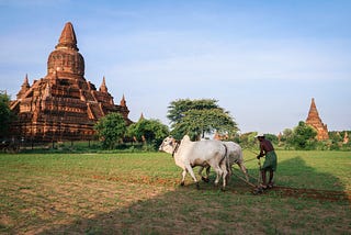 Embracing Nature and Culture: Biocultural Approaches to Sustainability