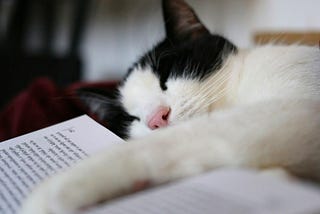 New Rule: Read Again for One Last Edit