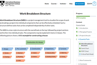 My Experience with the IBMI Project Management Program