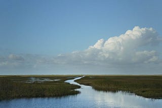 Woodstock Film Festival 2025- Highlights