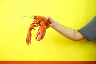 #19 Giving Your Agent Hands: How to Add Skills in OpenClaw