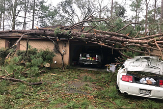 Environmental Issues Impacting the State of Georgia (Part Three)