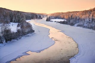 Looking for a Smart, Mature Heroine? Read the Novel, Frozen River