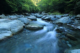 River’s Gentle Flow