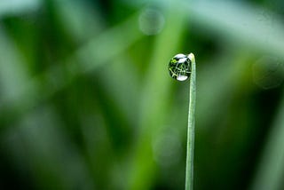 A treasured gift from God