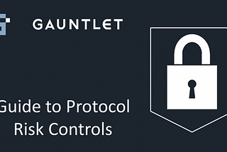 Guide to Protocol Risk Controls