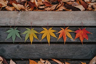 Seasons of Change Leadership