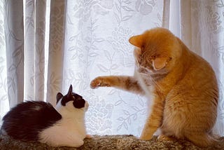 3 Reasons We Interrupt — How to Do It Better