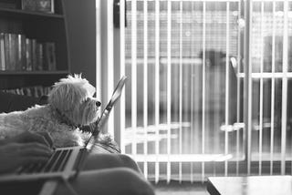 Is it Possible to be “In the Know” While Working From Home?