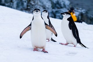 Leveraging WSL2 as of means to containerize environments