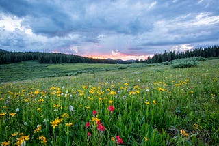 Spring Brings Life To The Land