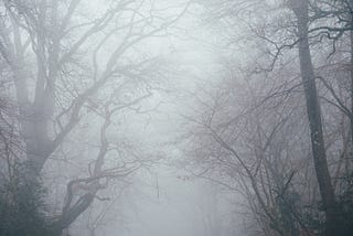 Into the Mist