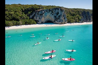 BLACKFIN-Paddle-Boards-1