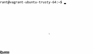 ¿What happens when you type ls -l in the shell?