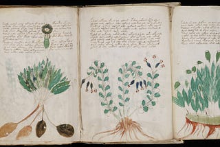 THE MOST MYSTERIOUS SCRIPT ON EARTH