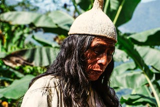 “Who will defend us if not ourselves?” Indigenous people and rainforests under attack in Brazil