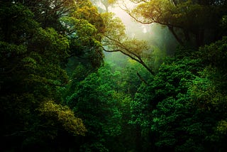 Most People Don’t Know What Sustainability Is. Do You?