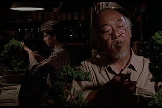 Four Things The Karate Kid Got Right About Bonsai