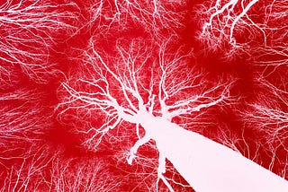The picture illustrates how blood vessels appear, looking like trees with many branches sprouting from the trunk