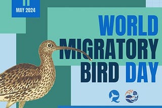 Happy World Migratory Bird Day!