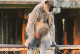 You’re too sad. Can you be less morbid?