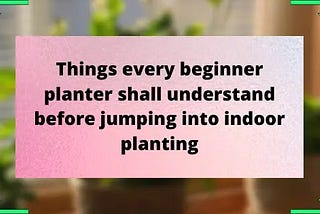Things you shall understand before jumping into Indoor Planting — Plantilia