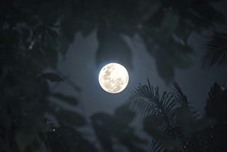 Here are 5 Powerful Yet Personal Pieces of Advice to Protect Your Relationship During the Full Beaver Moon