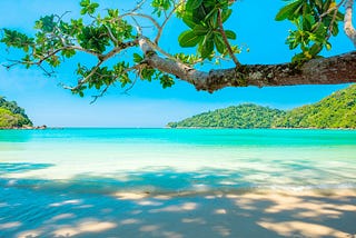 A branch above with moss-caked bark and waxy green leaves shades the sand of a white tropical beach blotted with shadows of trees to the backdrop of a blue lagoon and green hills of the volcanic island.