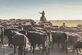 The Complex Story of Grass-Finished vs. Grain-Finished Beef in Regener