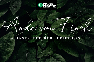 Anderson Finch Font