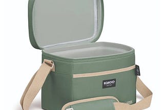 igloo-coolers-ecocool-cube-12-can-lunch-bag-1