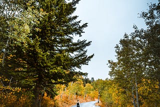 Come on a Journey with Me