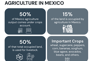 Unlocking Foodtech Potential: Mexico’s Path to Innovation and Investment in Agriculture
